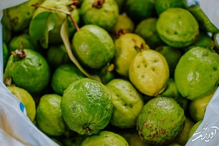 مصرف گواوا از مواد غذایی ضد سکته قلبی خوردن گواوا